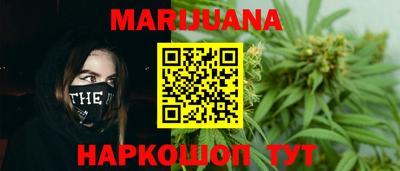крисы Новоалександровск