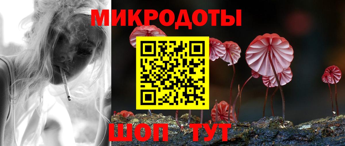 Псилоцибиновые грибы прущие грибы Павлово