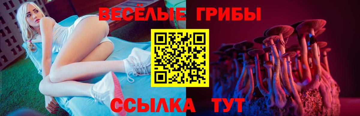 Псилоцибиновые грибы Psilocybine cubensis  Вход с VPN  Павлово 
